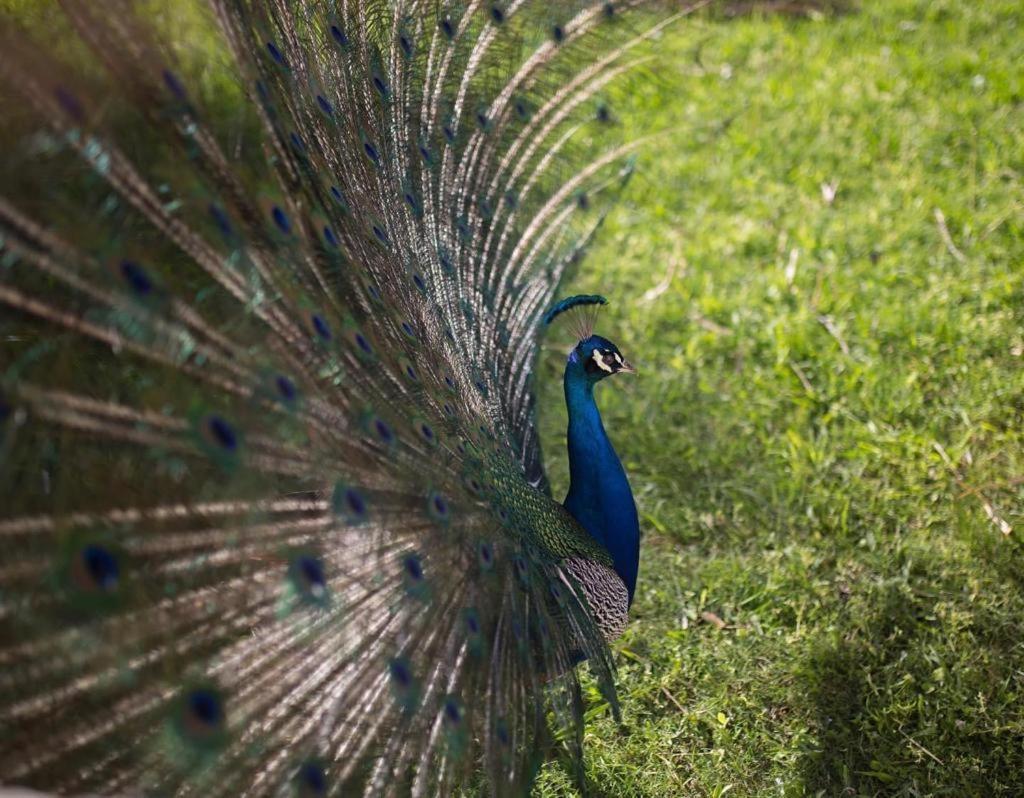 Complejo Turistico Flores ตรินิดาด ภายนอก รูปภาพ